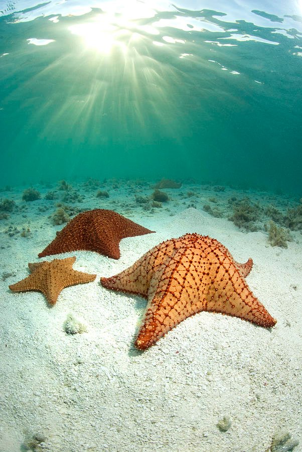 Los Roques, Venezuela,