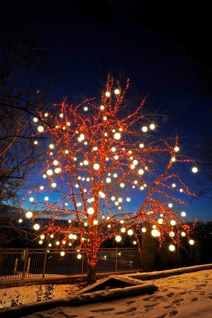 50 Christmas Decoration Ideas With Lights