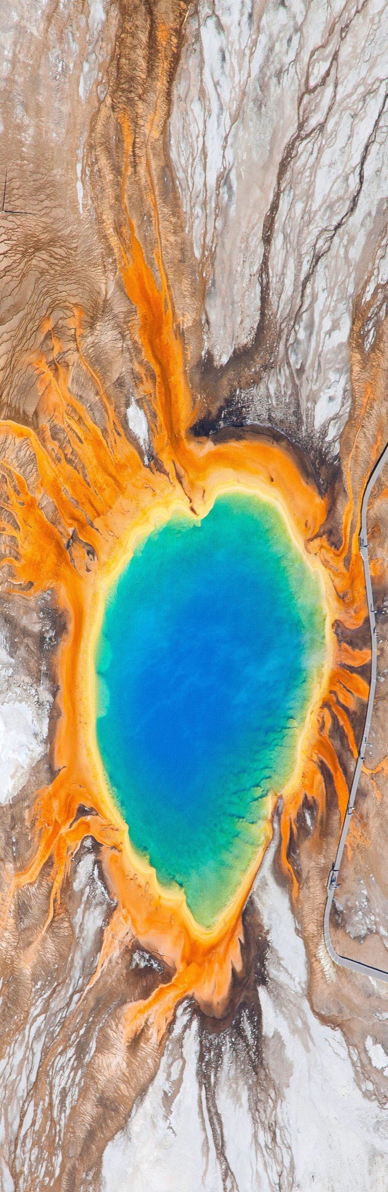 Grand Prismatic Spring in Yellowstone