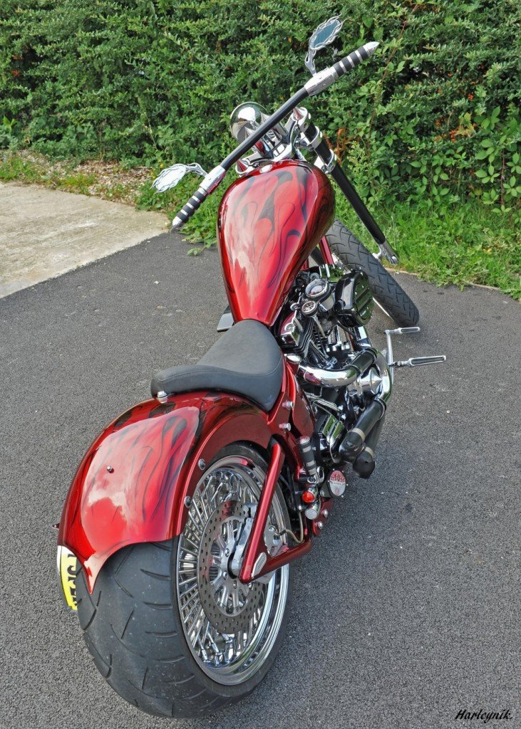 good harley for beginners