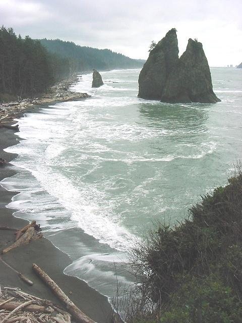 Mora and Rialto Beach 1