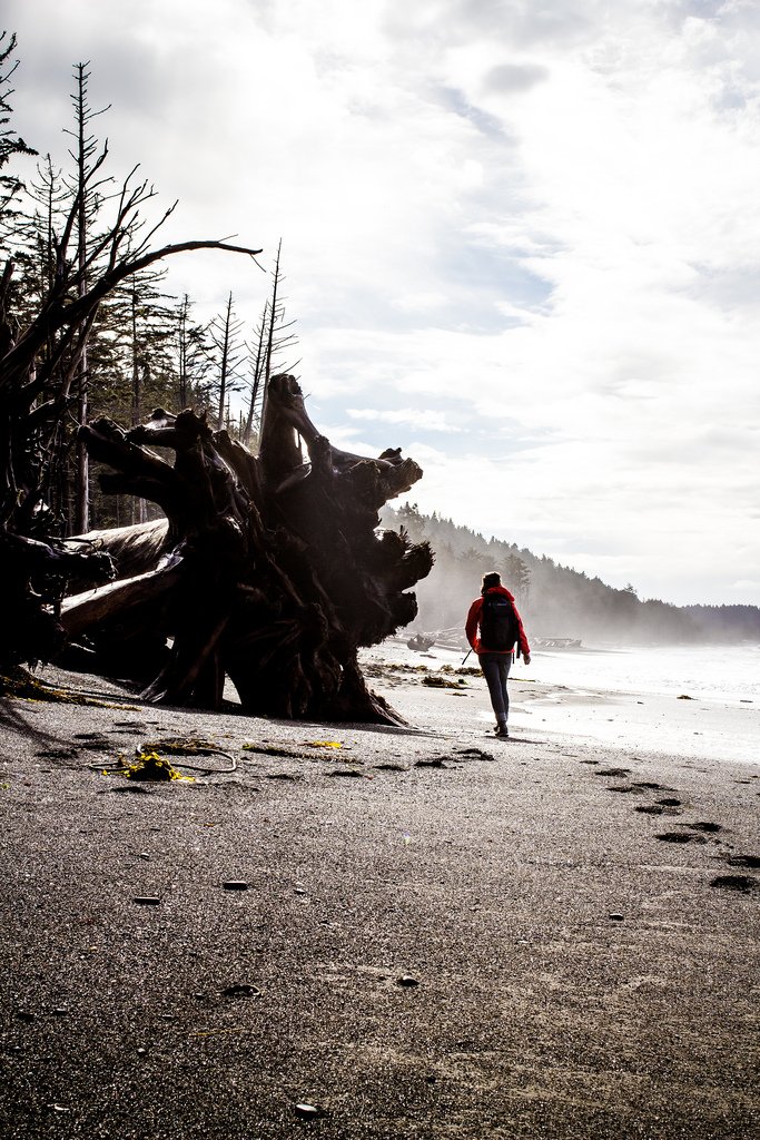 Mora and Rialto Beach 3