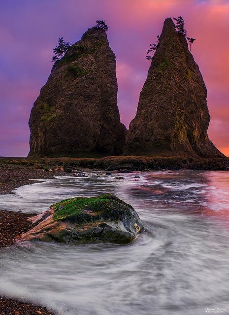 Olympic National-Park Washington ,USA 4