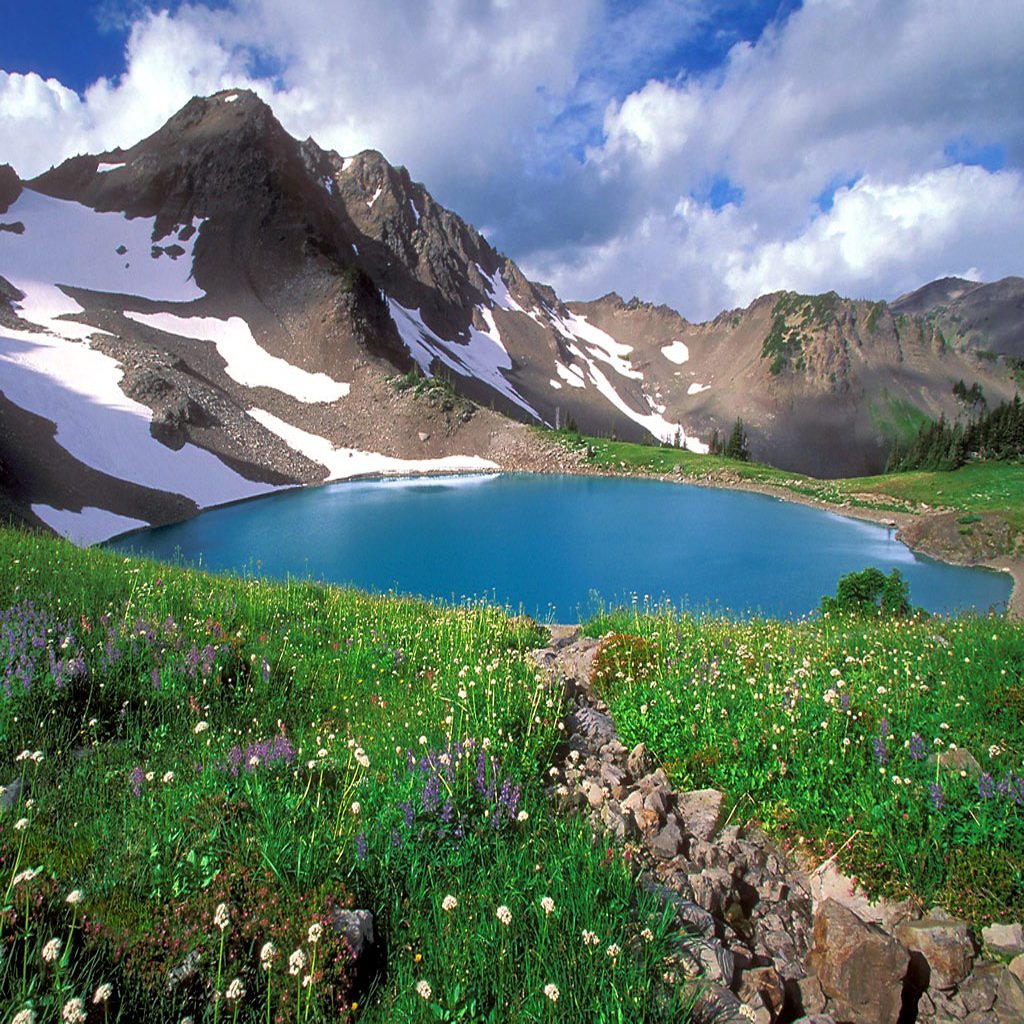 Olympic National-Park Washington ,USA 5