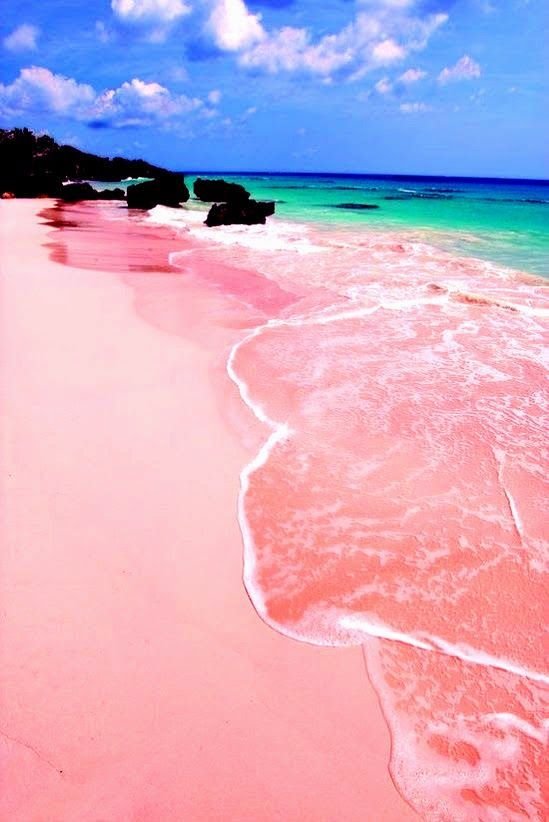 Pink Sand Beach, Bahamas