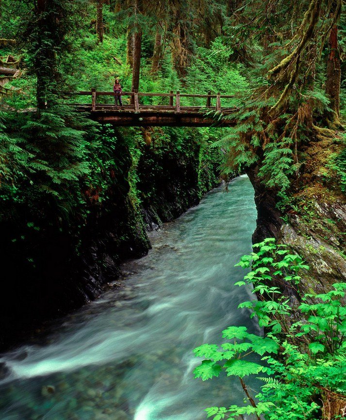 Quinault 4