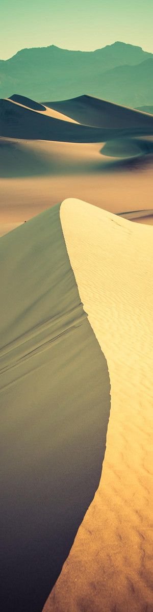 Sahara Desert