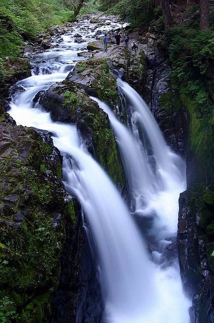 The Sol Duc Valley 5