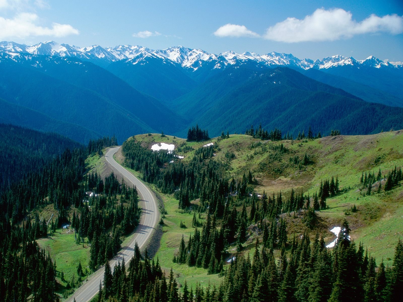 Travel Hurricane Ridge 1
