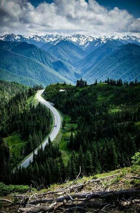 Travel Hurricane Ridge