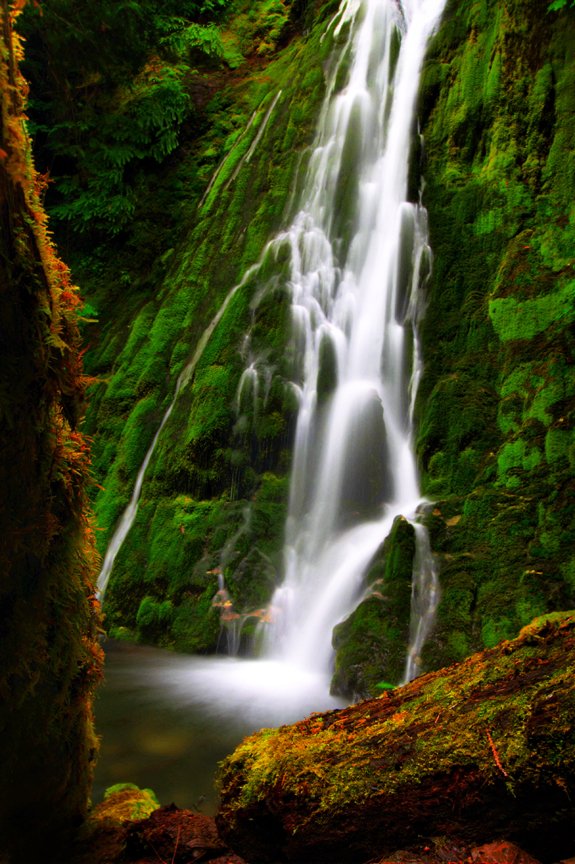 Travel the Elwha