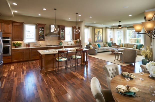 Open Concept Kitchen-Living Room Design Ideas