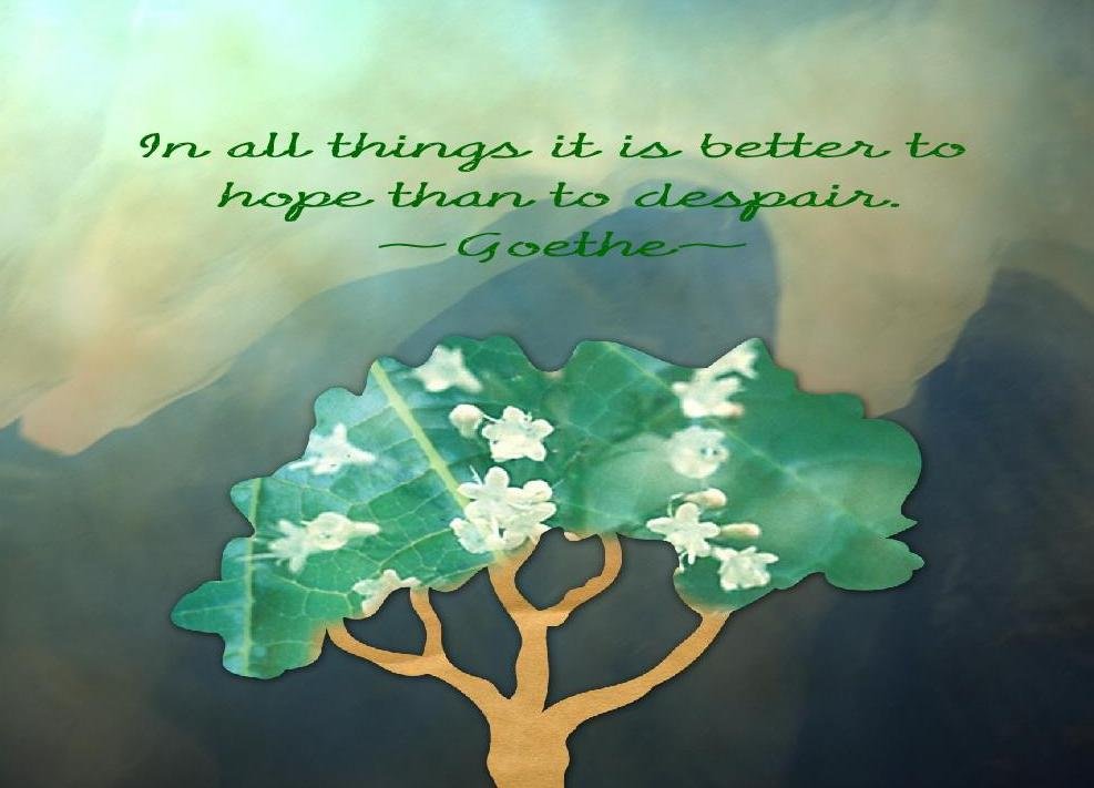 50 Best Hope Quotes