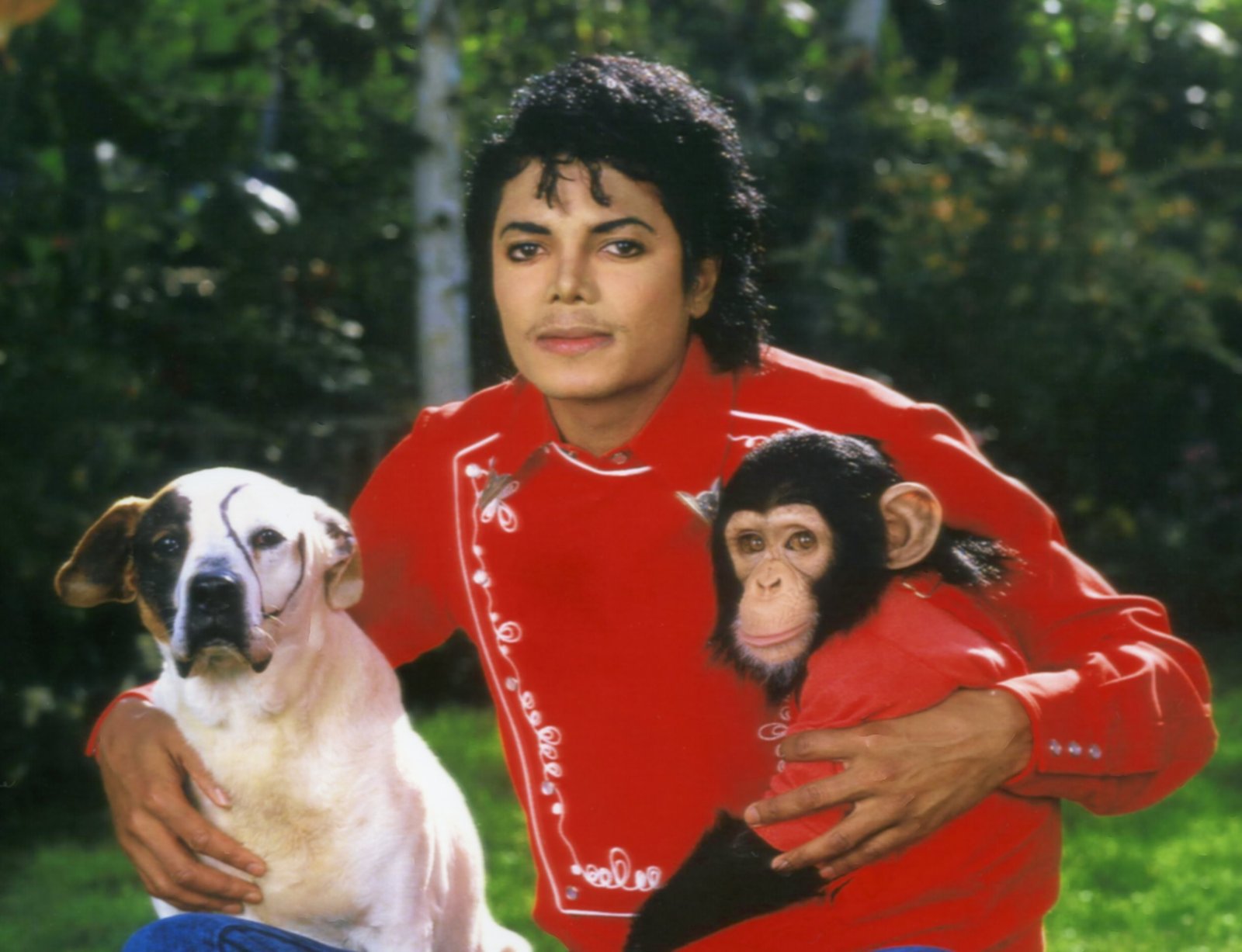 Pictures Of Legend Michael Jackson