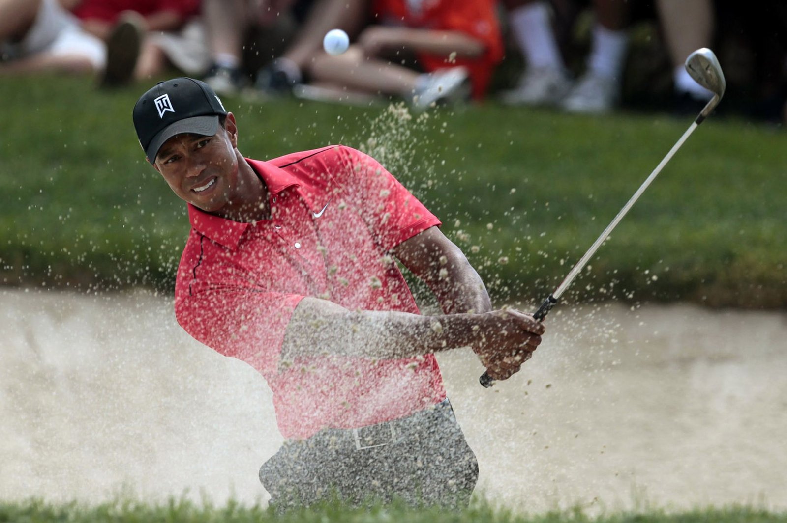 Tiger Woods Picture Gallery