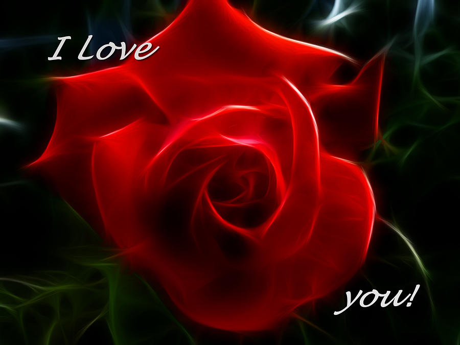 Featured image of post I Love You Images With Roses Hd : Everyone should make their love more romantic everyday.