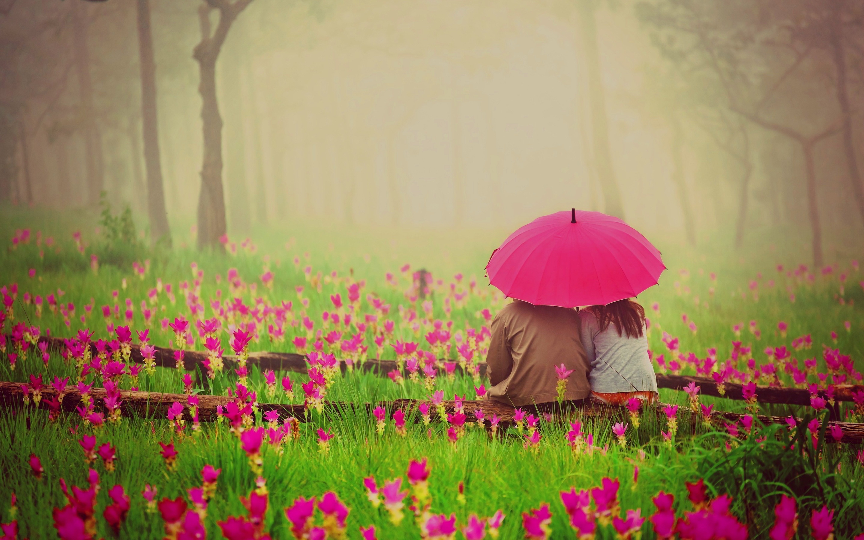 romantic flowers couple with umbrella hd desktop wallpaper