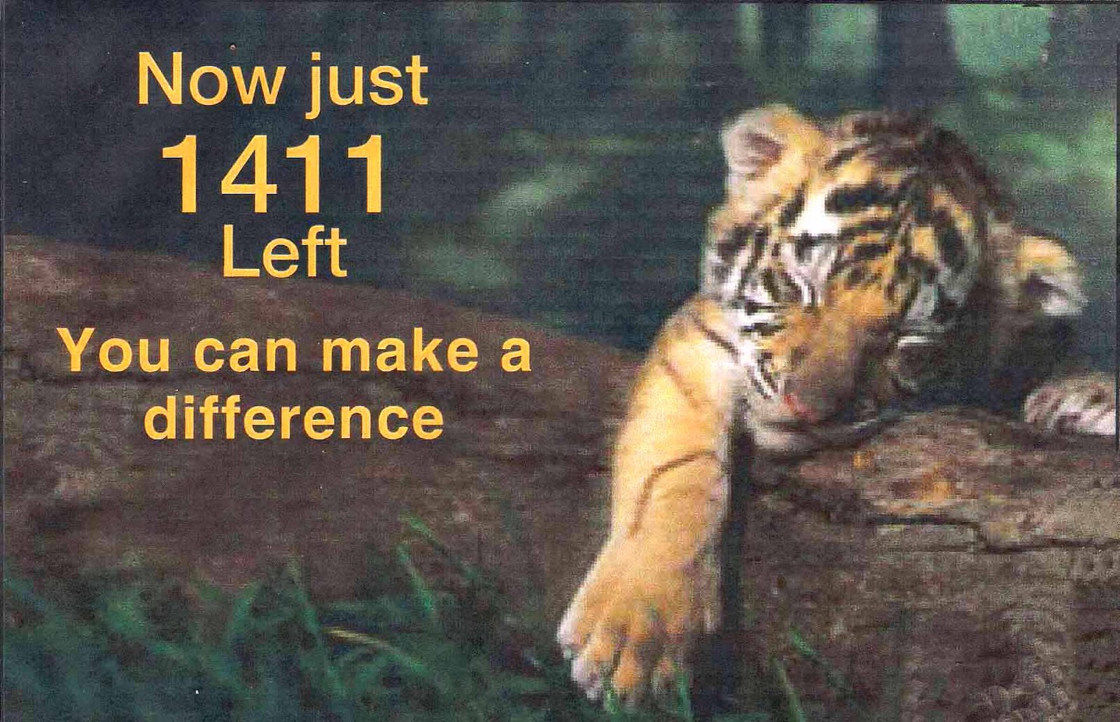Save the tiger now and ever