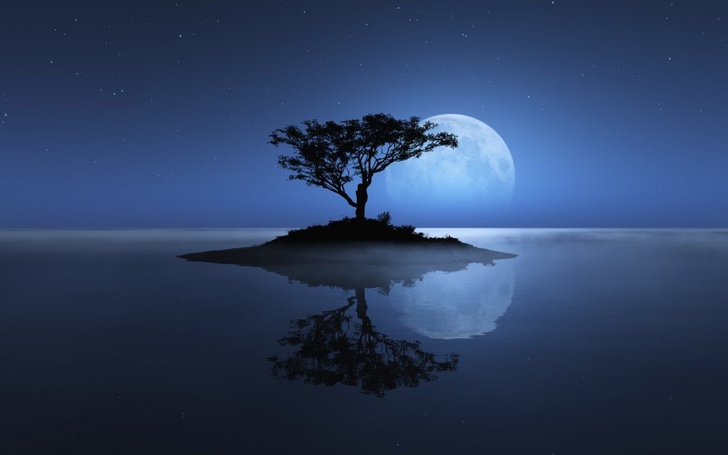 45 Best Reflection Pictures To Amaze You