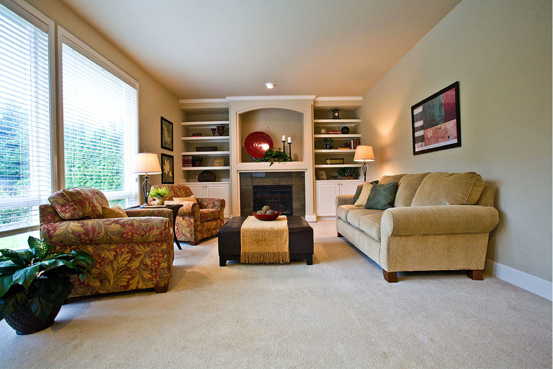 33 Traditional  Living  Room  Design