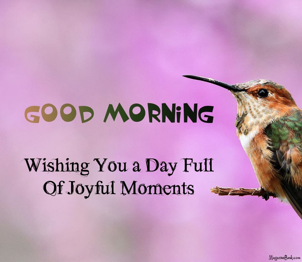 28 Best Good Morning Quotes – The WoW Style