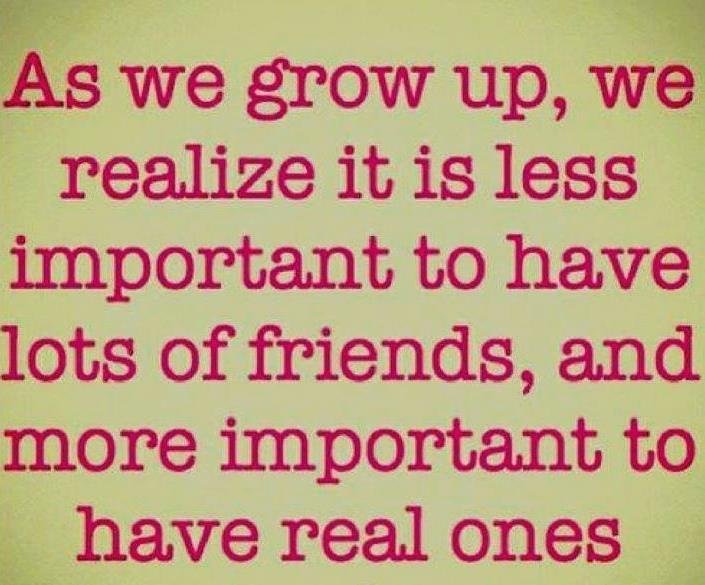 27 Best Friend Quotes with Images