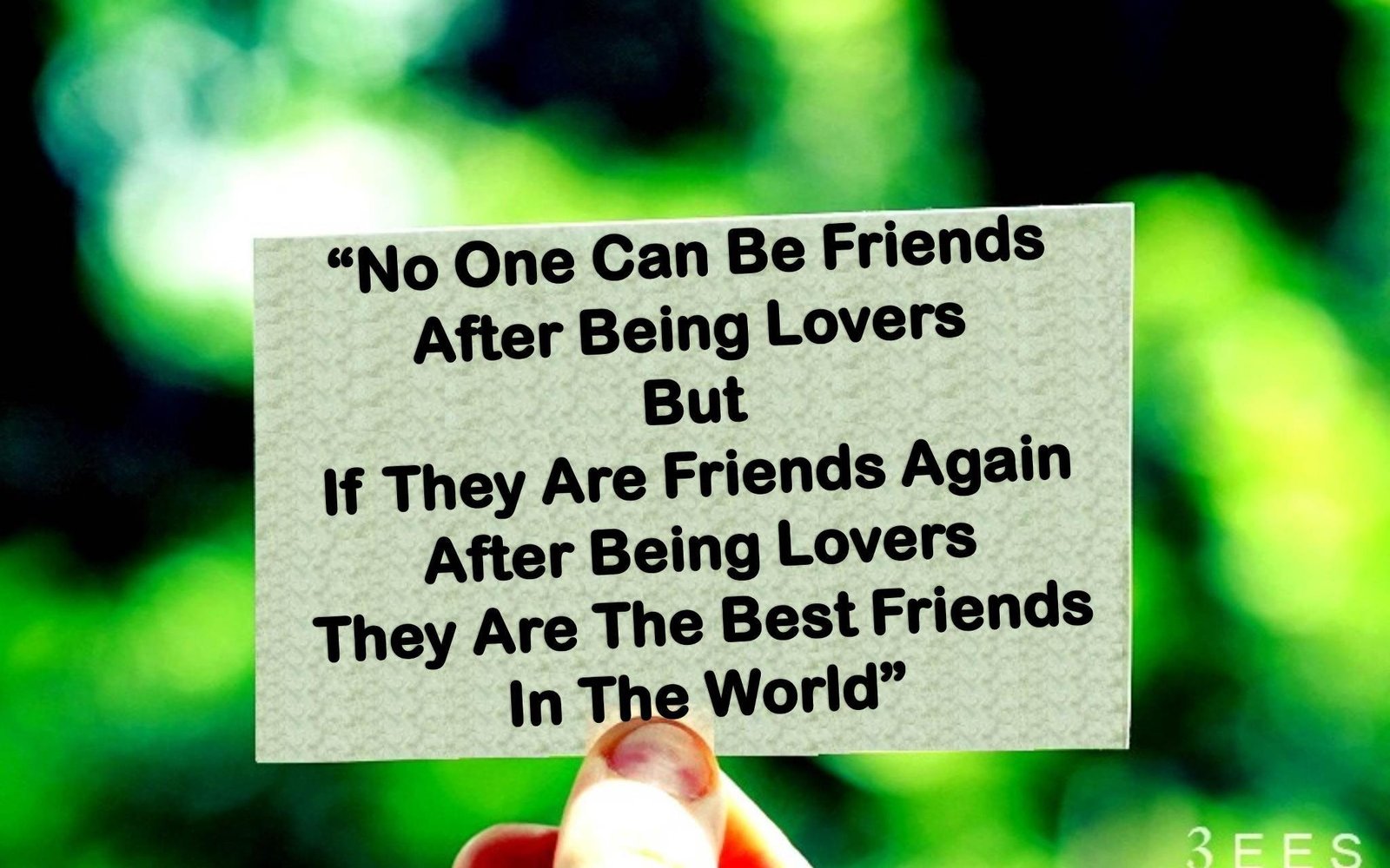 30 Best Friendship Quotes