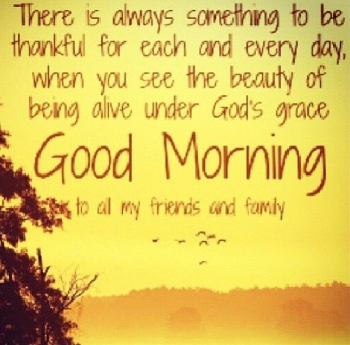 28 Best Good Morning Quotes