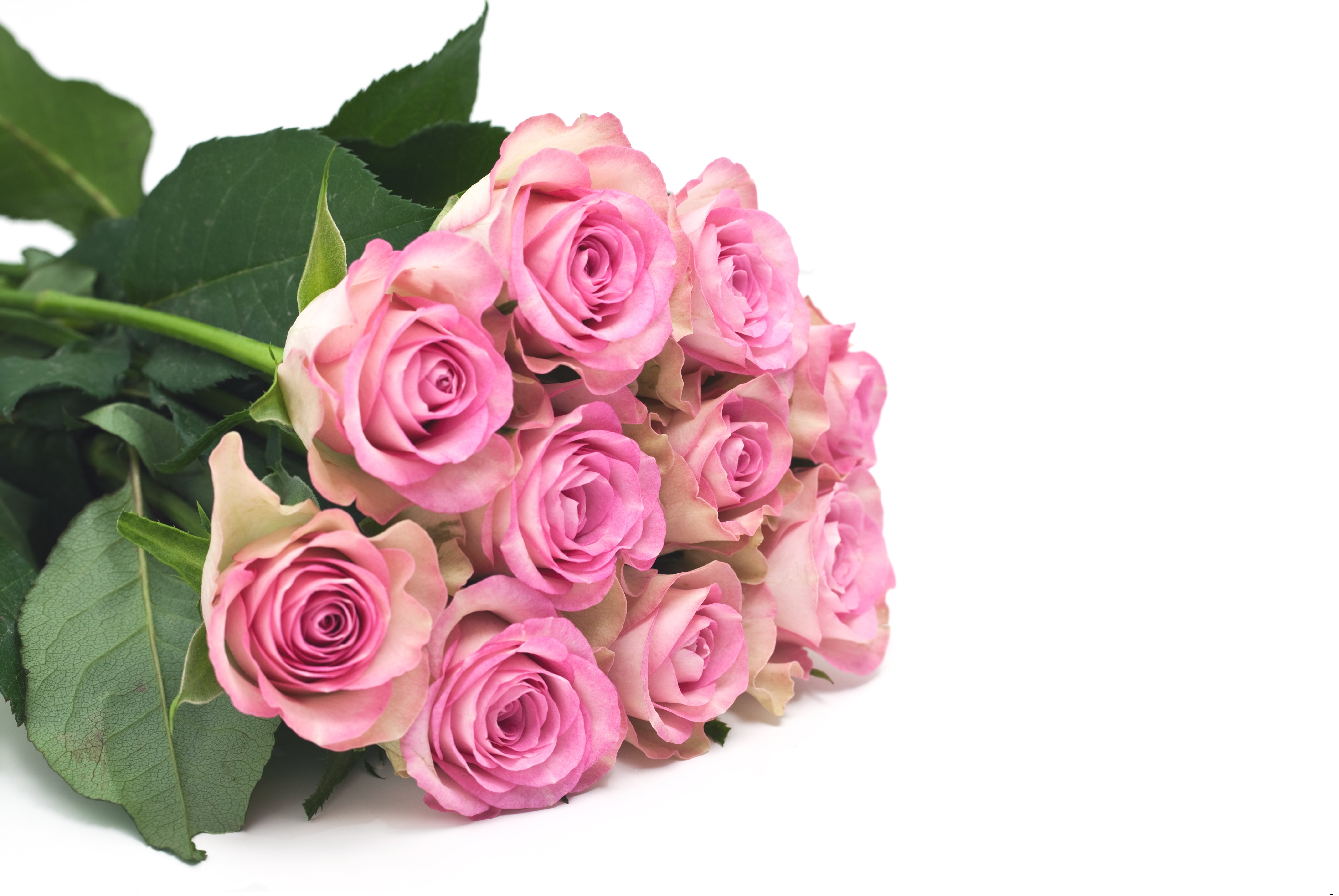Мамины цветочки слова. Букет розовых роз. Поздравляю! (Цветок). С днем матери цветы. Открытка цветы.