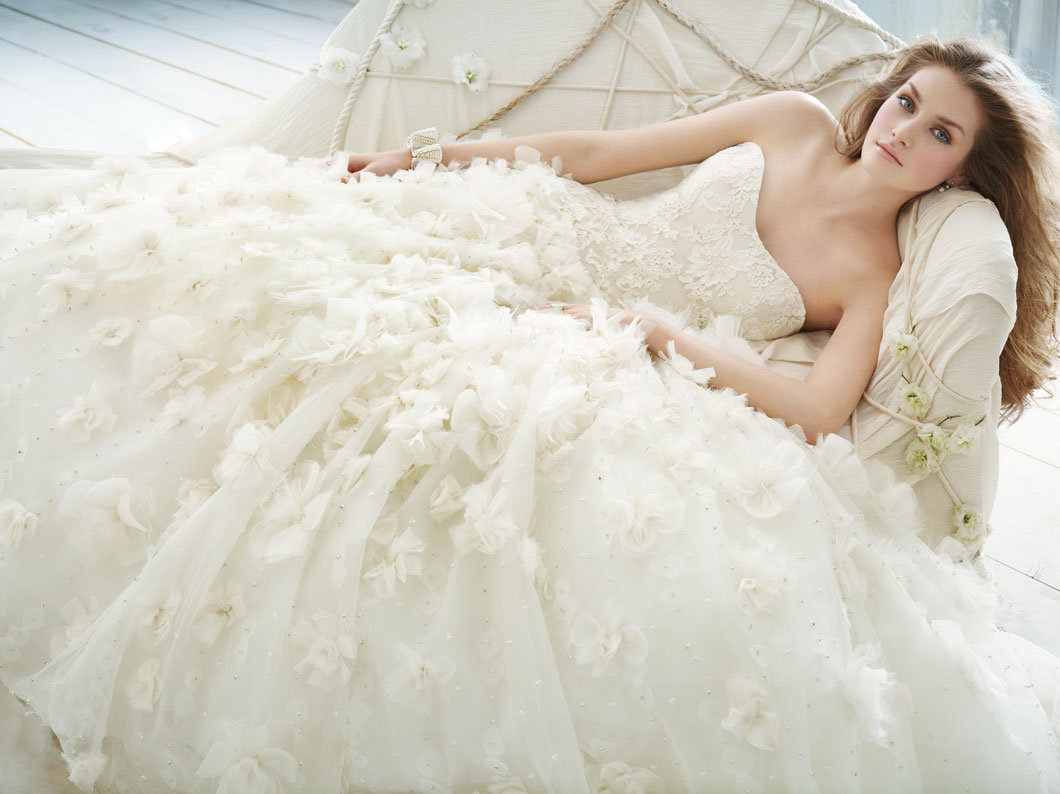 The Irresistible Attraction of Ball Gown Wedding Dresses.