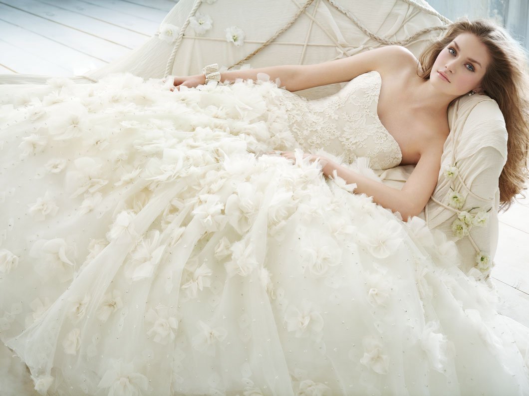 The Irresistible Attraction of Ball Gown Wedding Dresses