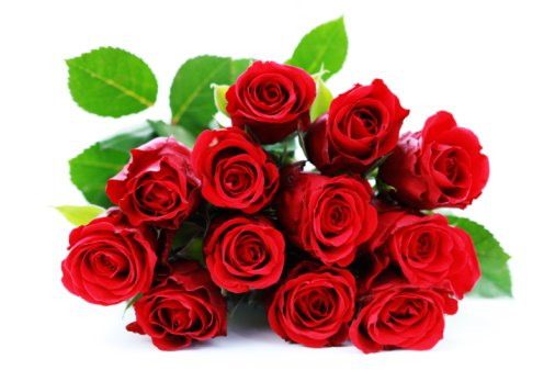bunch of roses