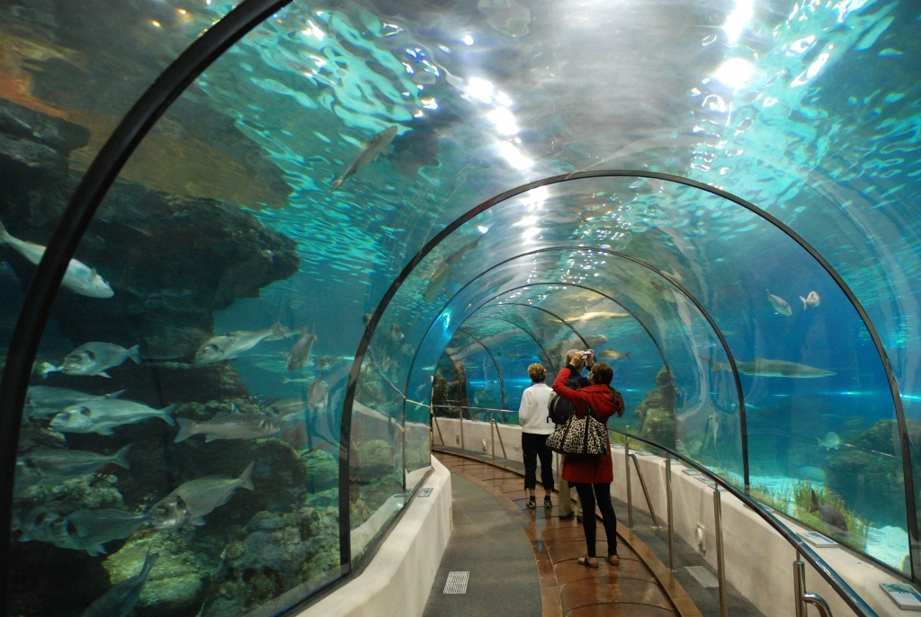 L’Aquarium de Barcelona