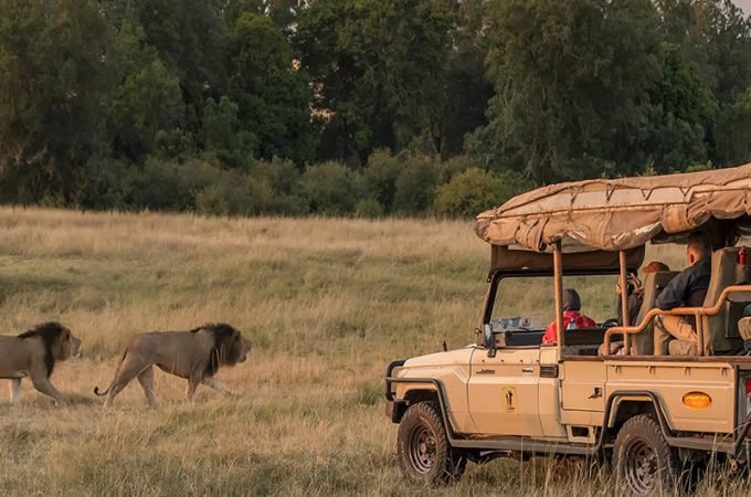 Start Your Safari Adventure