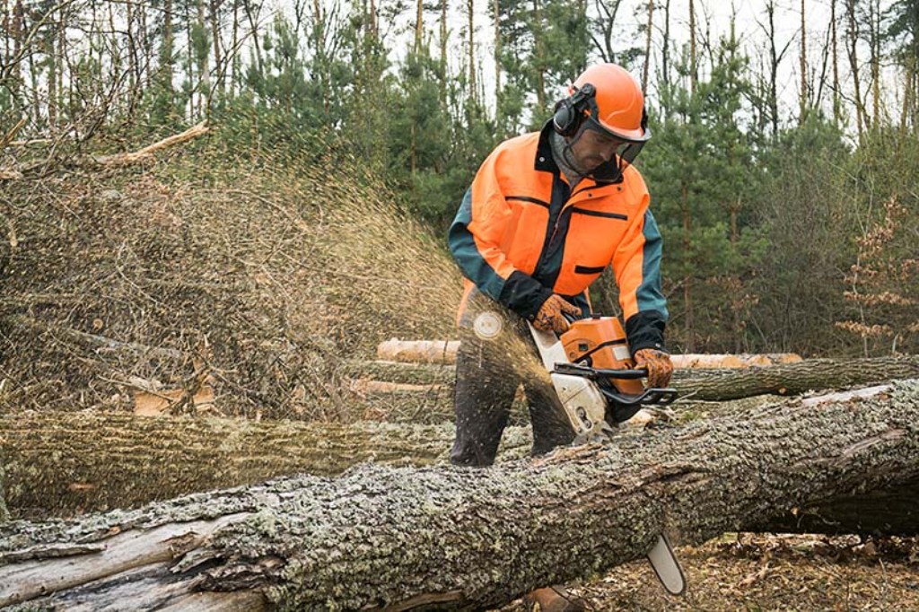 How to Operate a Chainsaw Safely for Garden Use