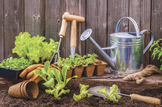 Essential Gardening Tips for Every Season