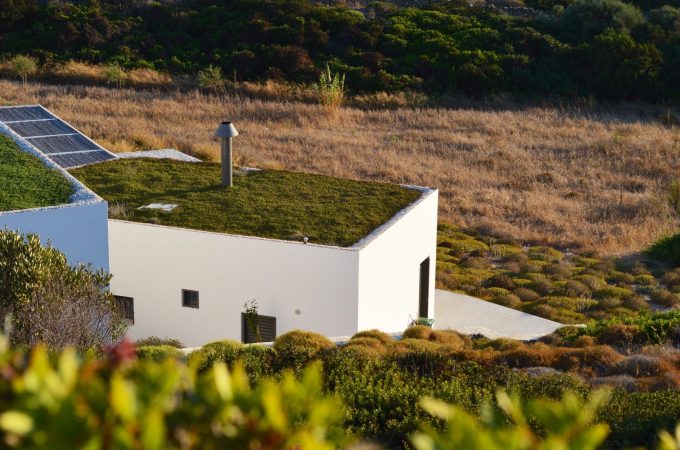 The Aesthetic Beauty and Ecological Benefits of Constructing a Green Roof