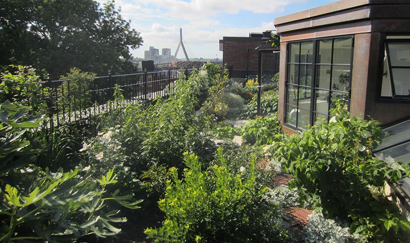 What S The Least Expensive Way To Green Your Roof Howstuffworks