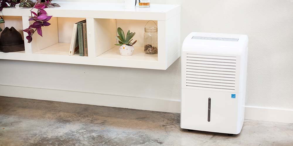 Tips to Get the Most from Your Top-Rated Home Dehumidifier