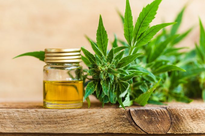 How to make Sure You’re Buying Quality CBD OIL