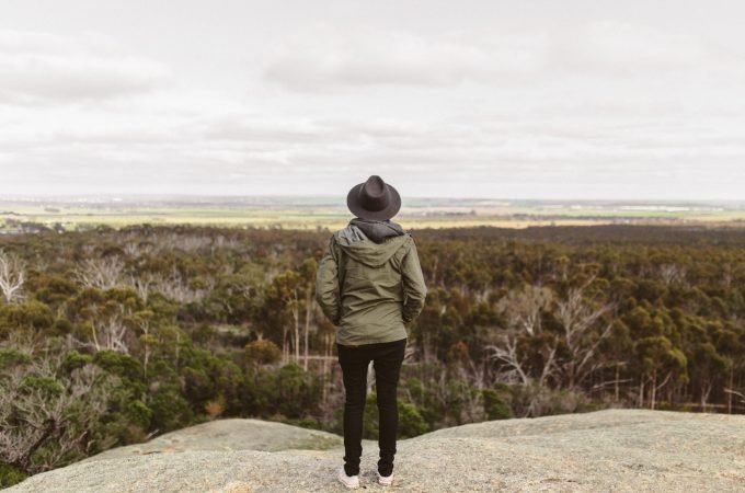 Forest Therapy- The Benefits of Taking A Vacation in Nature