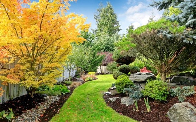 6 Pocket-Friendly Ways to Create and Maintain a Beautiful Garden