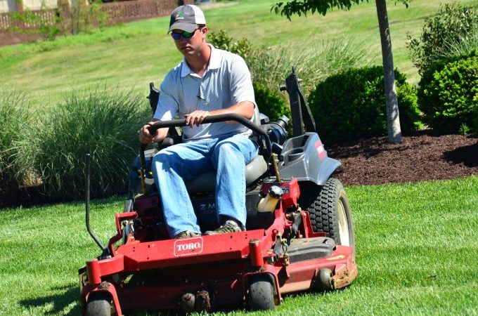 The ABCs of Lawn Care: How to Keep Your Yard Green and Healthy
