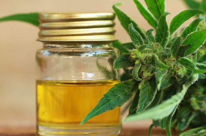 “How to Choose The Best CBD Oil For You”