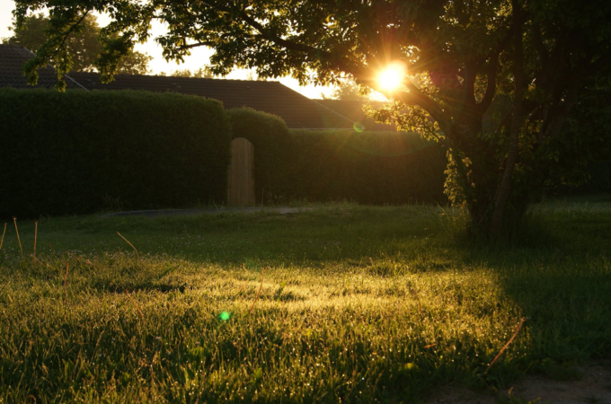 Yard Maintenance 101: Essential Safety Tips When Using a Small Wood Chipper