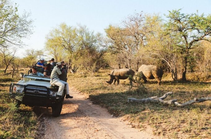 Must-Have Essentials While Going for an African Safari