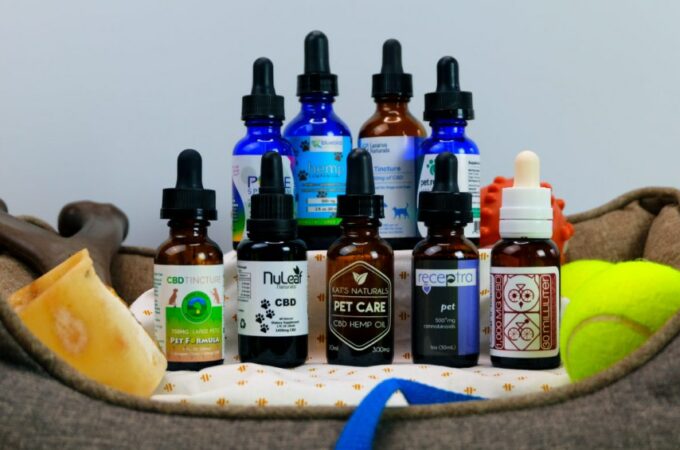 5 Best CBD Oil Companies to Buy From in 2020