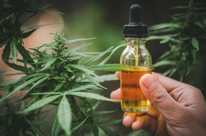 Personalise Your CBD Tinctures: Know Your Terpenes