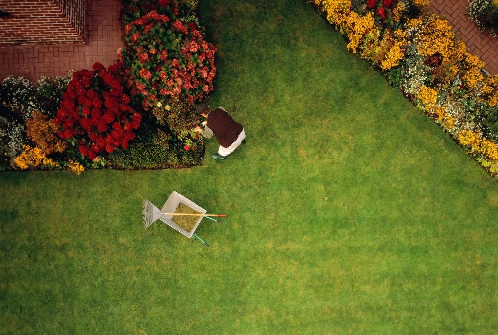 Key Tips to Having a Luscious Lawn