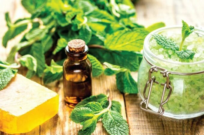 The Many Benefits and Uses of CBD Oil